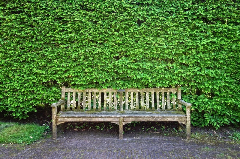 Fairy Tale Seating Area