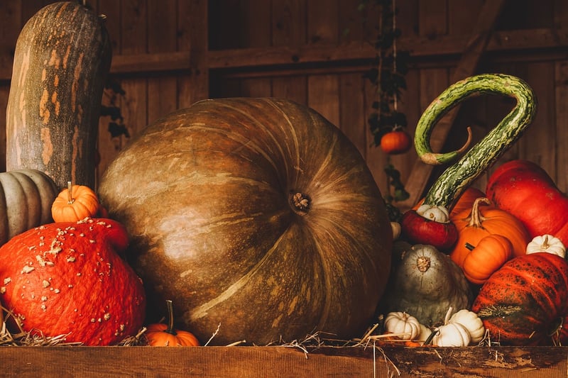 Enchanted Pumpkins